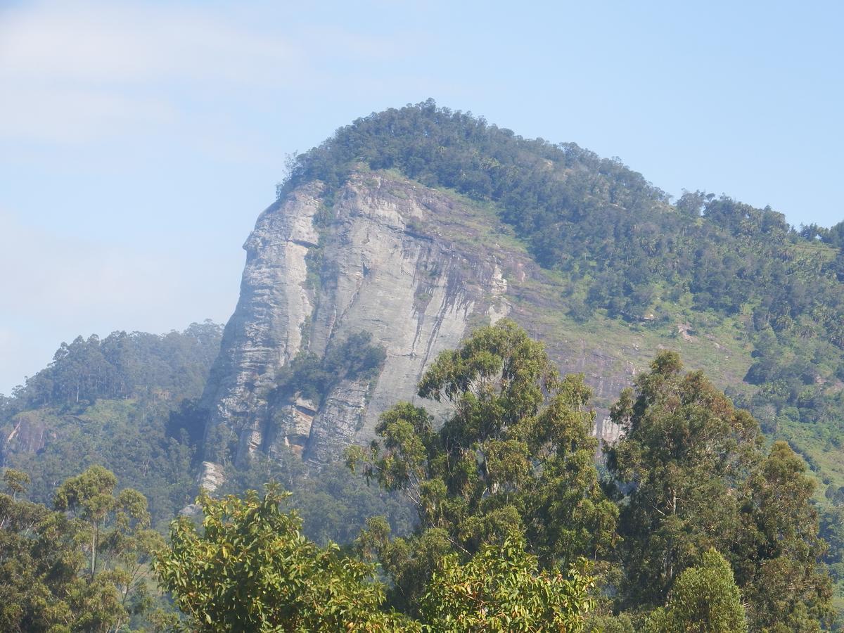 Lavender Garden Hotel Wundanyi Exterior foto
